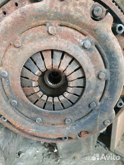 Сцепления саненг Муссо