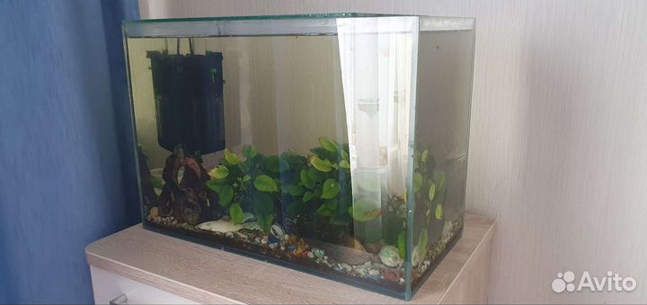 Аквариум