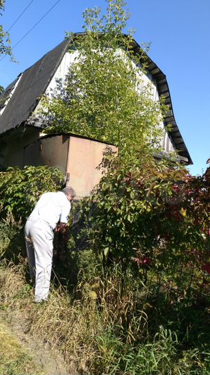 Дача 44 м² на участке 5,5 сот.