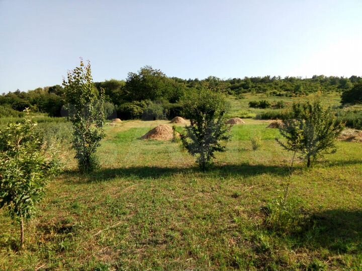 Дом 53 м² на участке 42,5 сот.