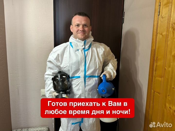 Уничтожение тараканов, уничтожение клопов