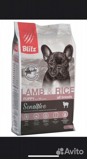 Сухой корм для собак всех пород