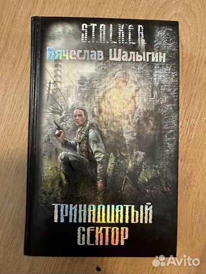Книга. Шалыгин. Тринадцатый сталкер