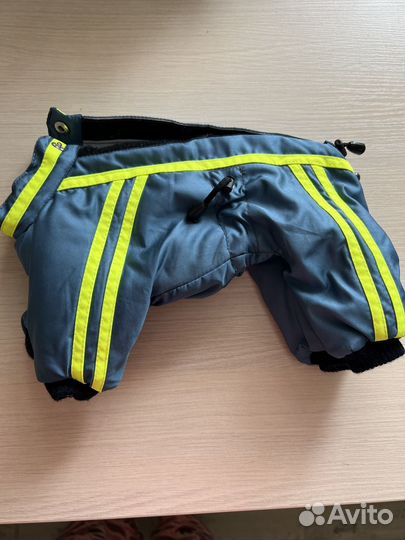 Одежда для собак мелких пород