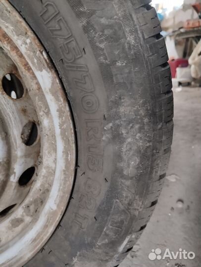 Tigar Winter 175/70 R13