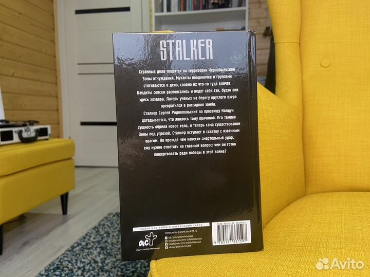 Тяжелый пепел - Александр Пономарев. Сталкер