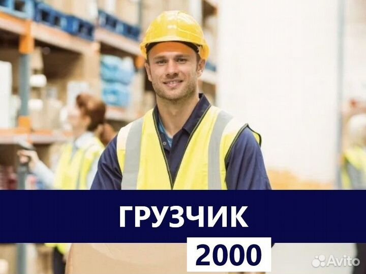 Грузчик без опыта, еженедельные выплаты