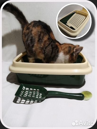 Лоток для кошек большой новый