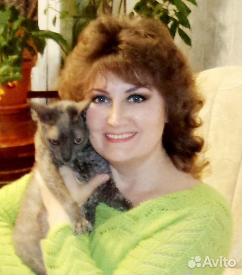 Передержка кошек и других животных (кроме собак)