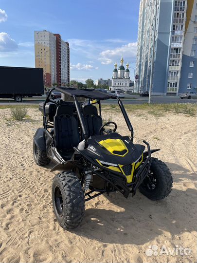 Прокат багги