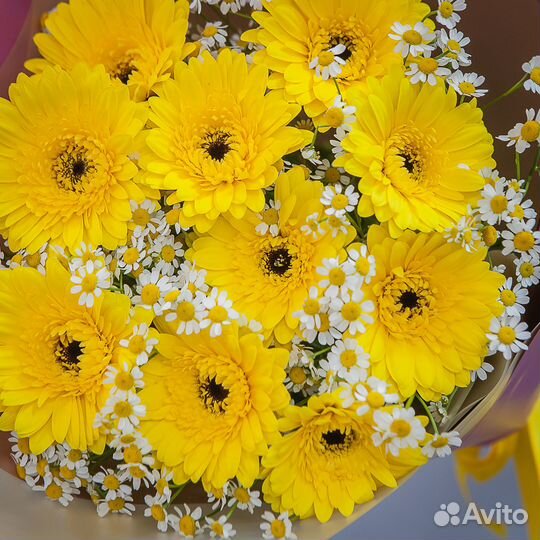 Букет из 11 желтых гербер и 15 ромашек кустовых, ц