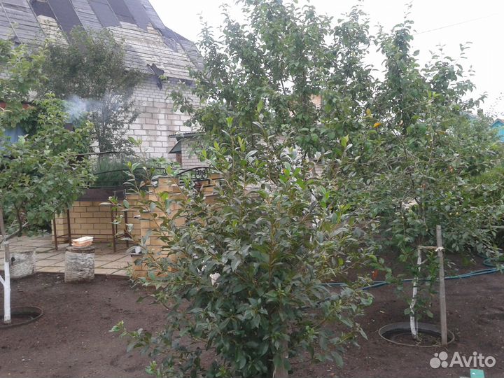 Шапки мужские