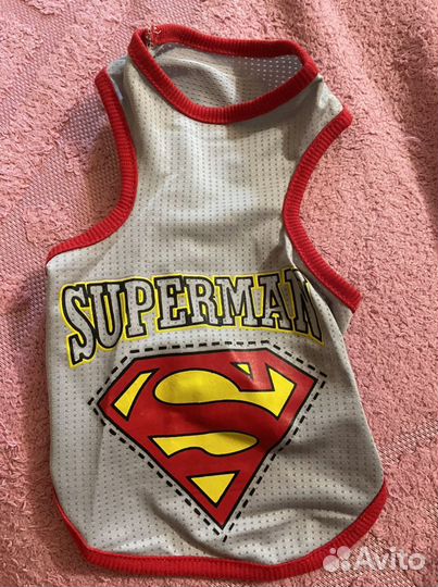 Вещи для собак