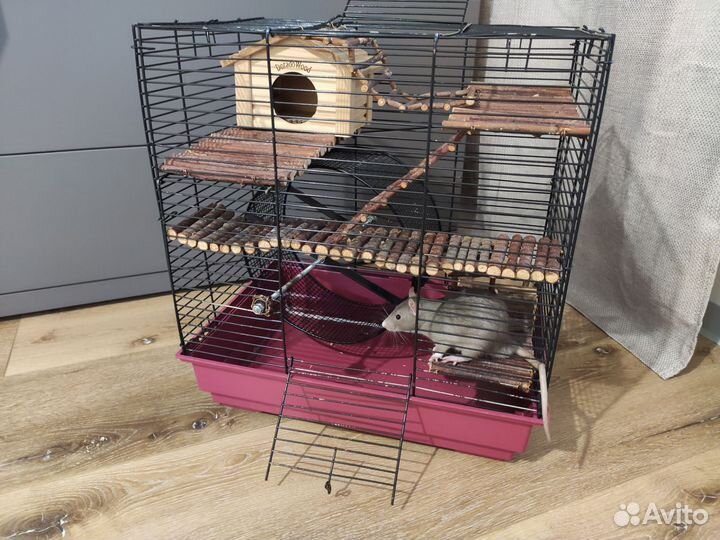 Клетка для хомяка