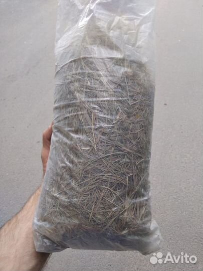 Продаю сено для домашних грызунов