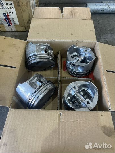 Поршни газ 406