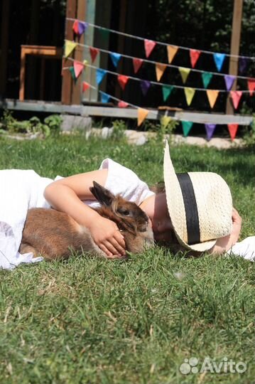 Фотореквизит