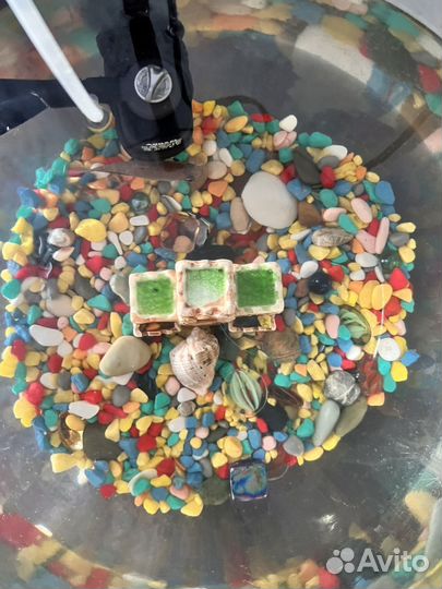 Аквариум с рыбой