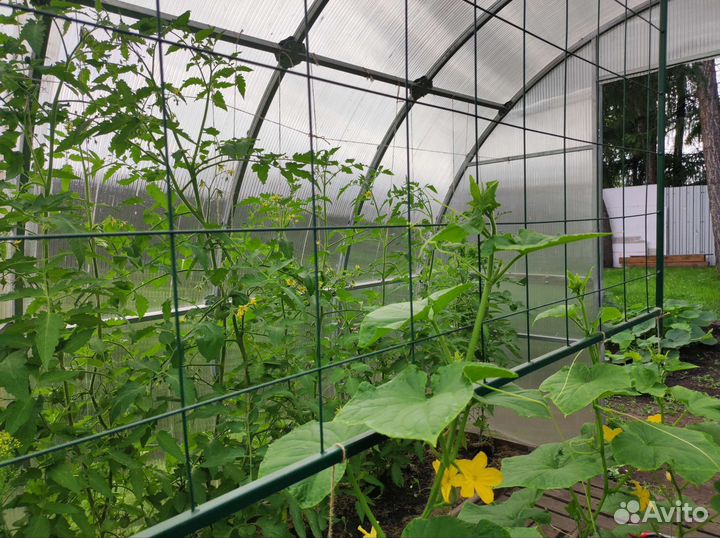 Шпалера металлическая