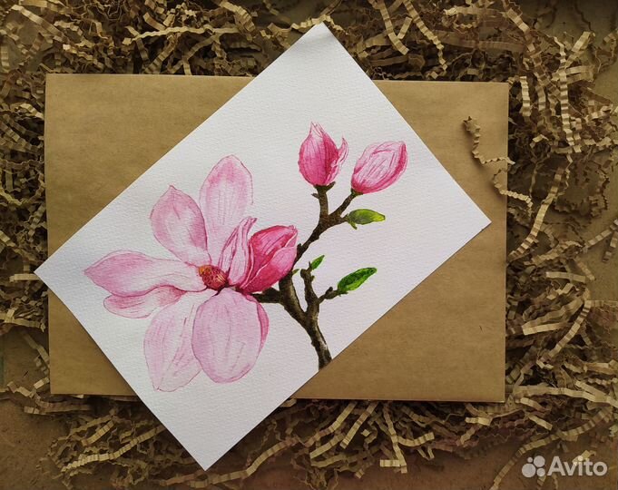 Картинка цветок магнолия. А5