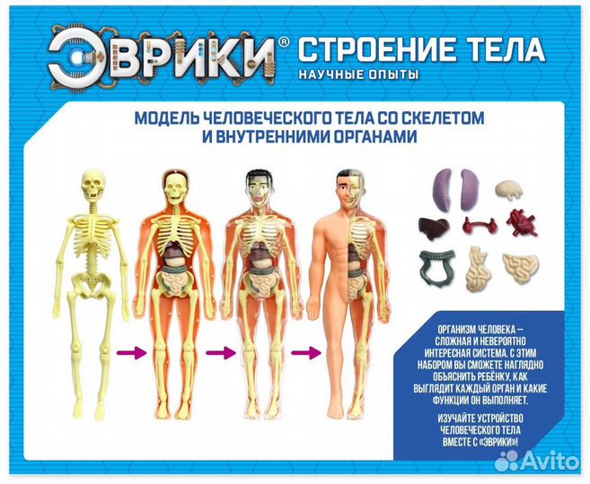 Научный опыт