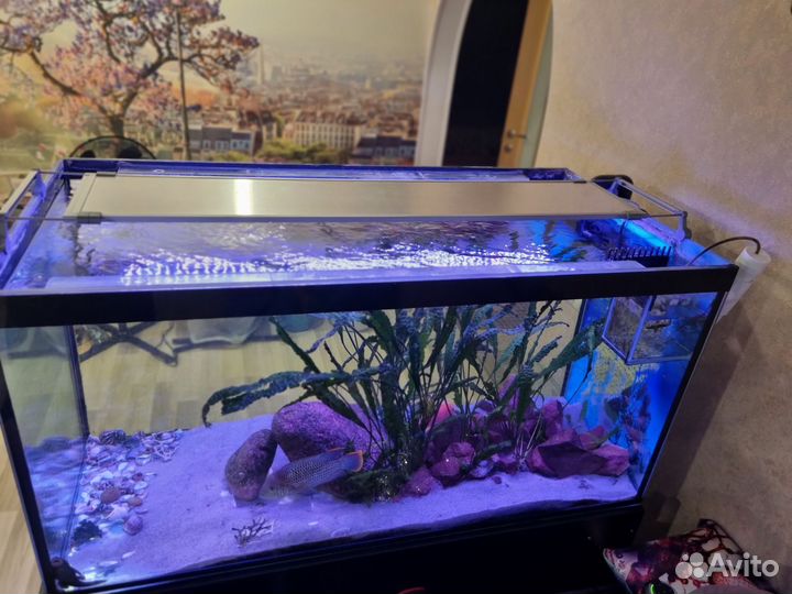 Светильник для аквариума