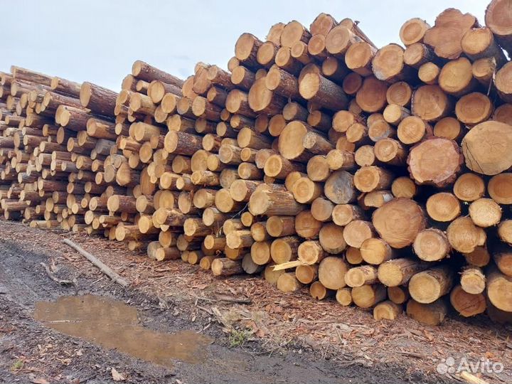 Лес кругляк Деловой