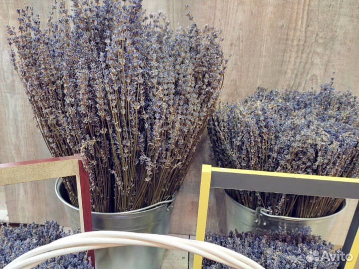 Букет из лаванды,доставка