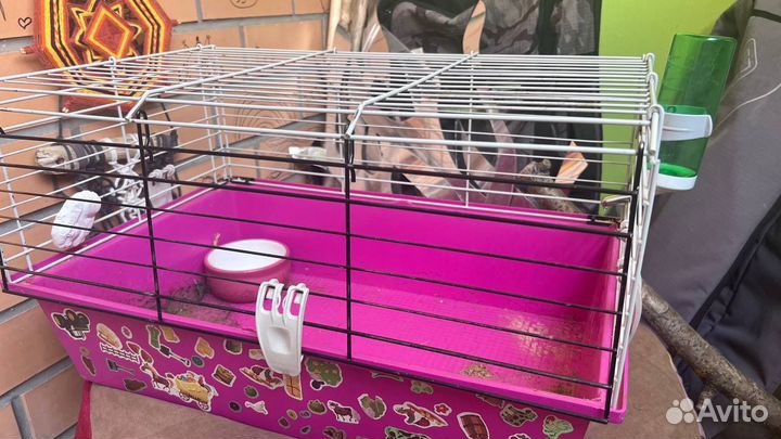 Клетка для кролика