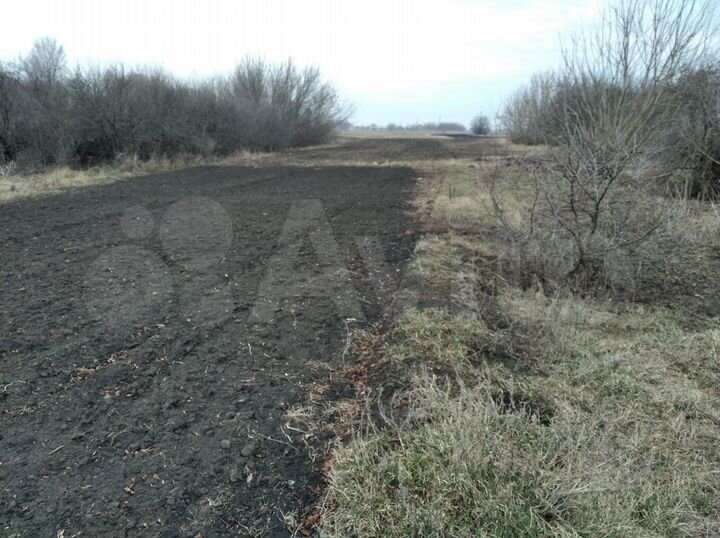 Дом 57 м² на участке 56 сот.