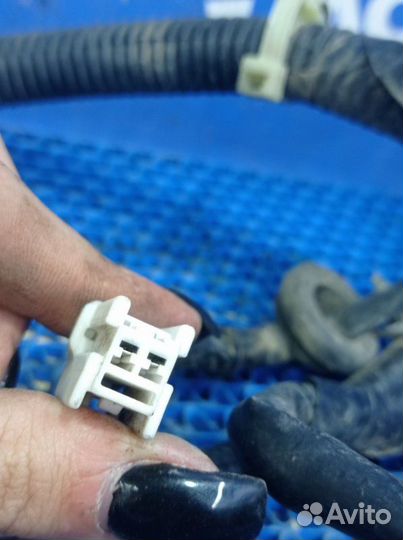 Проводка двери Nissan Cefiro A33 седан VQ20 2000