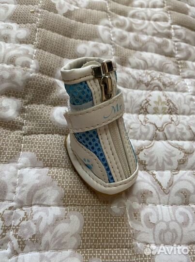 Одежда для маленьких собак