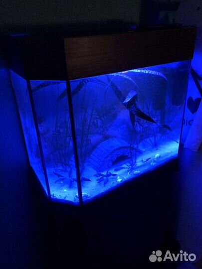Аквариум