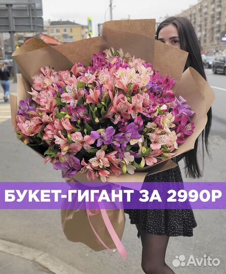 WOW Букет из Альстромерий. Доставка/Самовывоз