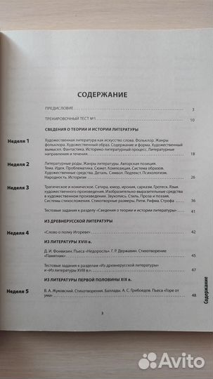 ЕГЭ литература теория и практика