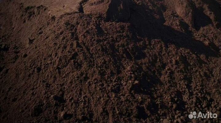 Торф низинный