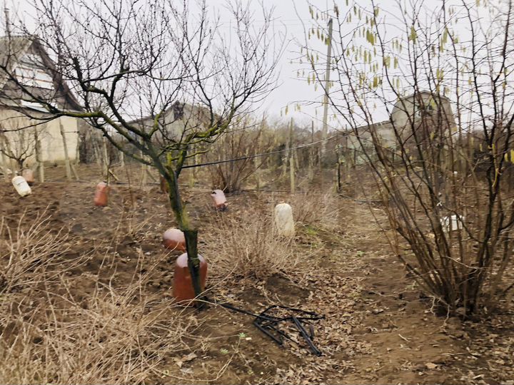 Дача 72 м² на участке 12 сот.