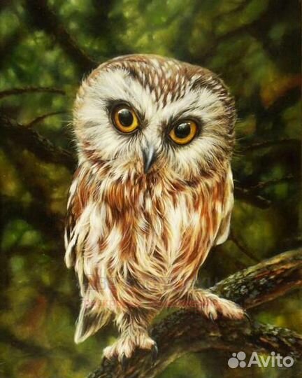 Алмазная мозаика 40x50 Пушистый милый филин