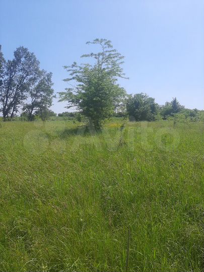 Участок 6 сот. (СНТ, ДНП)