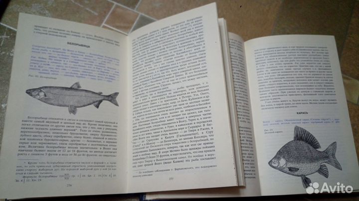 Книги Рыбы России. Сабанеев Л.П. 2 тома