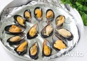 Мидия Грея в/м