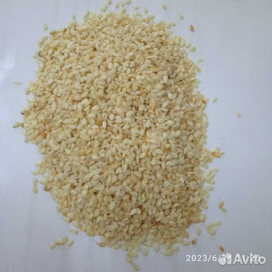 Кунжут белый (семена) Индия