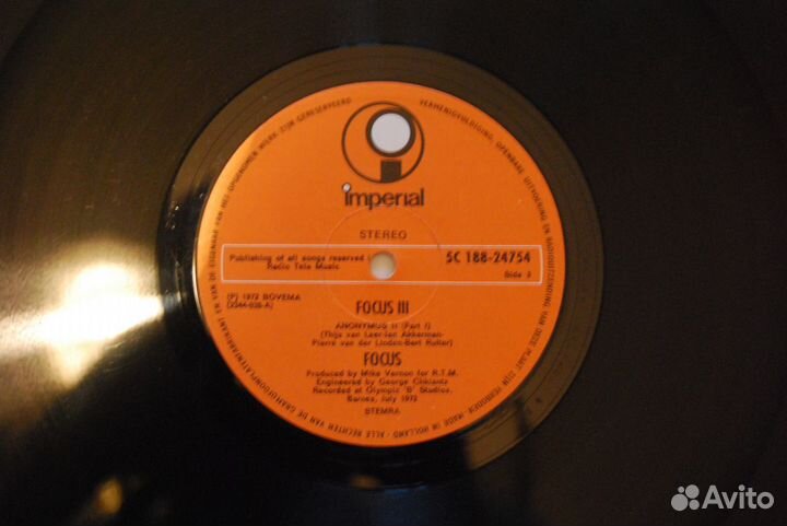 LP Focus- 