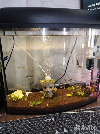 Аквариум 30 литров