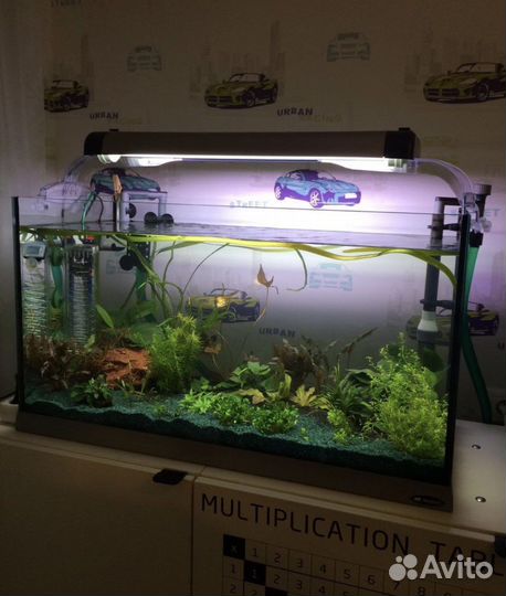 Аквариум ferplast