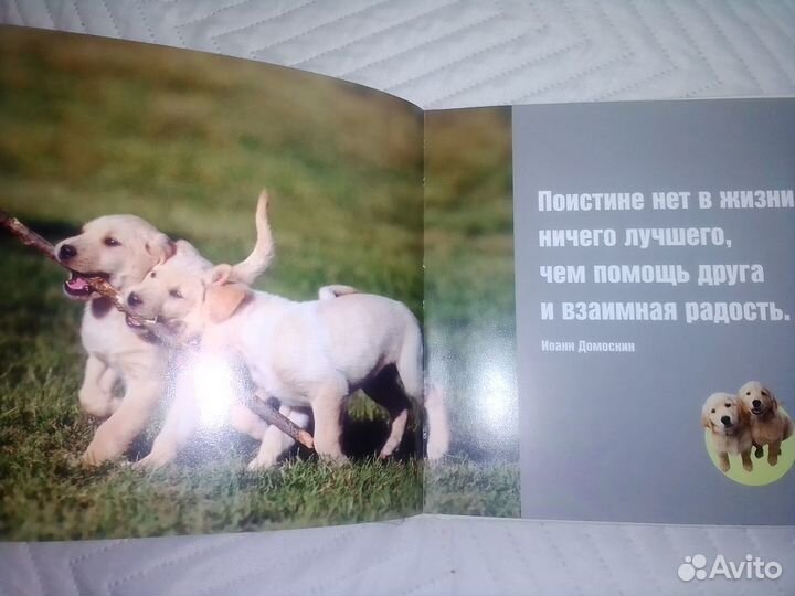 Добрые книги