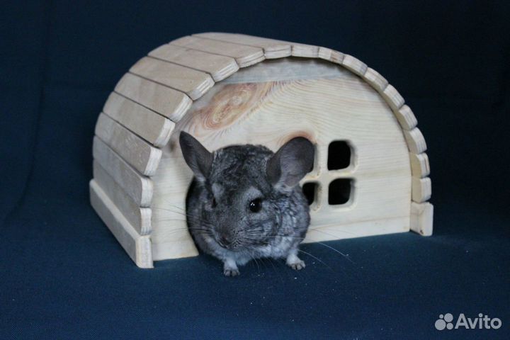 Домик для шиншилл, гнездо для волнистых попугаев