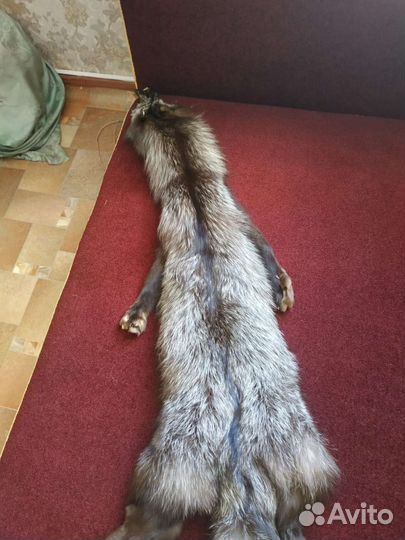 Меховой воротник