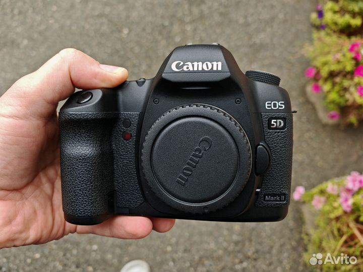 Canon EOS 5D Mark II