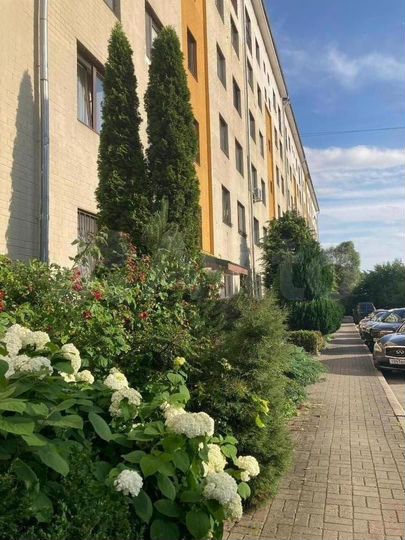 2-к. квартира, 54,3 м², 2/6 эт.